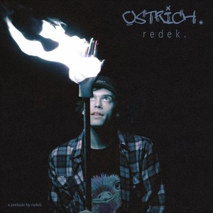 Ostrich. (Explicit)