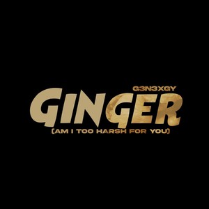 G3n3xgy - Ginger (Am i Too Harsh For You)