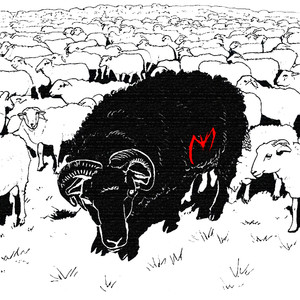 OVEJA NEGRA (Explicit)