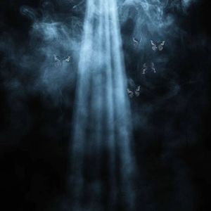 如果我有两颗心 我会爱上你两次