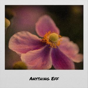 Anything Eff