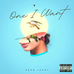 One I Want (Explicit)