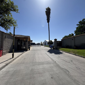 El Manicillo del Mosca