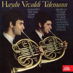 Concerto for 2 Horns in E-Flat Major, TWV 52:Es1 - III. Grave