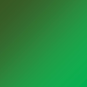 Li Wei - Midnight's Perfume