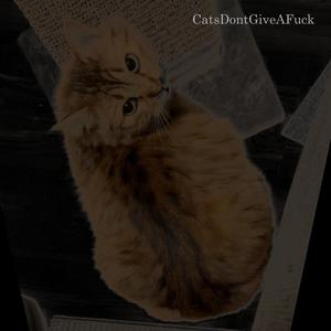 CatsDontGiveA****