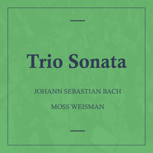 Trio Sonata in G Major, BWV. 1038 - IV. Presto