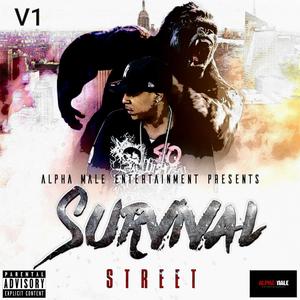 Survival, Vol. 1 (Explicit)