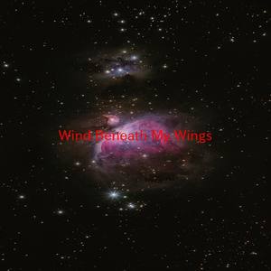 Wind Beneath My Wings (Instrumental version originally performed by Sheena Easton)