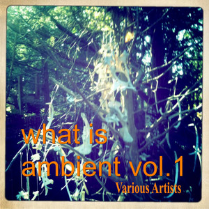 What Is Ambient Vol.1