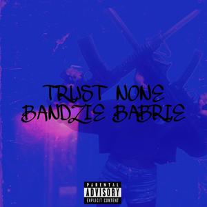 Trust None (Radio Edit|Explicit)