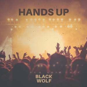 Hands Up