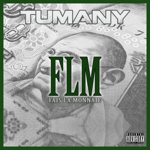 FLM (Explicit)