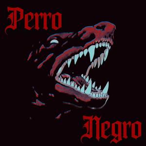 Perro Negro
