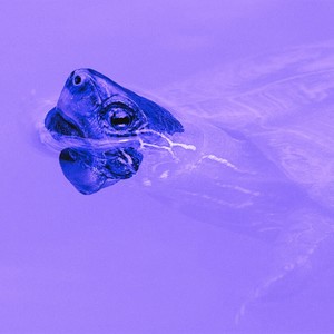 Iyi Degilim (Explicit)