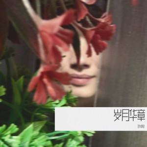 岁月华章