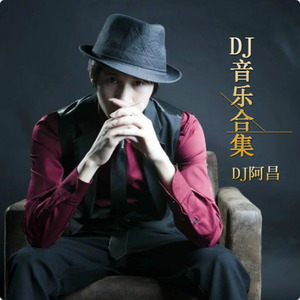 爱的故事上集 (DJ阿昌版)