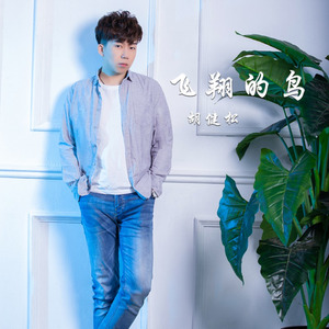 飞翔的鸟