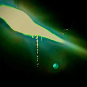 Reformed.mp4 (Explicit)