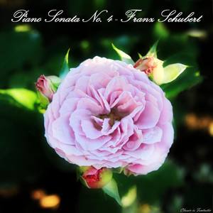 Piano Sonata no. 4 in A minor, D. 537 - Piano Sonata No. 4 in A Minor, D. 537: I. Allegro ma non troppo