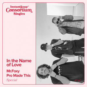 In the Name of Love (feat. Mr.Foxy & Pro Made This)