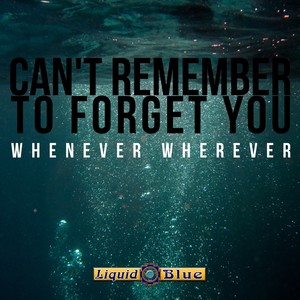 Can't Remember To Forget You