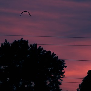 Howie Spitts - Palmbutter (feat. Rico C & Nae Foo)