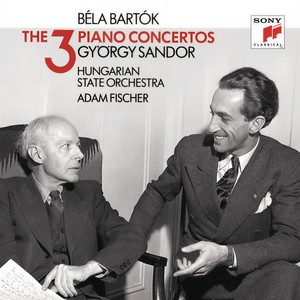 Piano Concerto No. 1, Sz. 83 - I. Allegro moderato