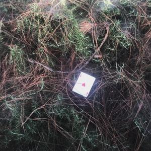 Play Your Cards (feat. Foreign Forest)