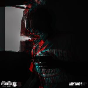 Why Not? (Explicit)