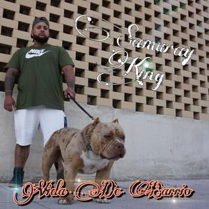 Vida de barrio (Explicit)