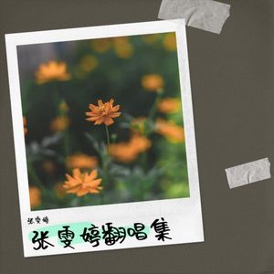 张雯婷 - 想你的365天