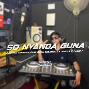 SO NYANDA GUNA X MODEL RUPA ANGKO - DISCO TANAH