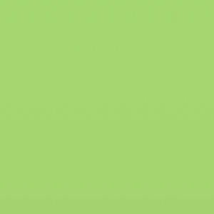 Attachment (Explicit)