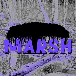 marsh (Explicit)