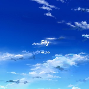 Fly