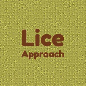 Lice Approach