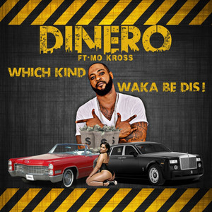 Which Kind Waka Be Dis (Explicit)