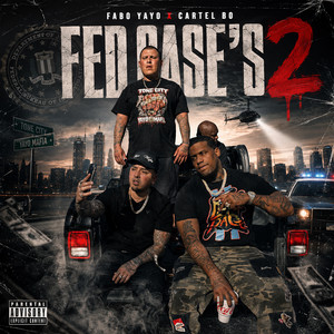 Fed Cases 2 (Explicit)