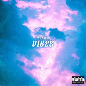 Vibes(feat. Rxdri) (Explicit)