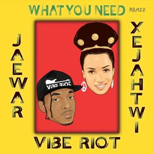 What You Need (feat. Xe Jah'twi) [remix] [Explicit]