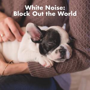 White Noise: Block Out the World