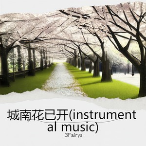 城南花已开(instrumental music)封面