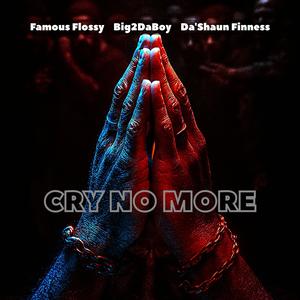 Cry No More (feat. Big2DaBoy & Da'Shaun Finness) (Explicit)