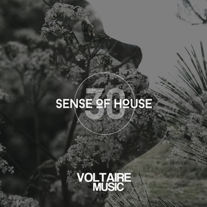 Sense of House, Vol. 30