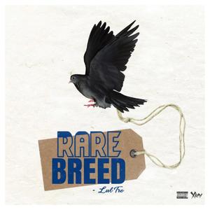 Rare Breed (Explicit)