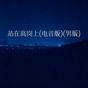 站在高岗上 (电音男版)封面