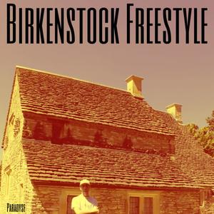 Birkenstock Freestyle