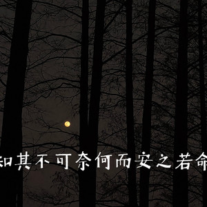 东北民谣 (Live)封面