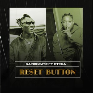 Reset Button